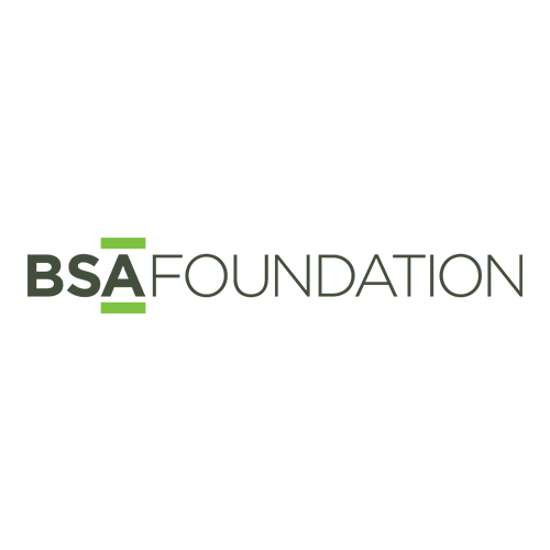 BSA Foundation