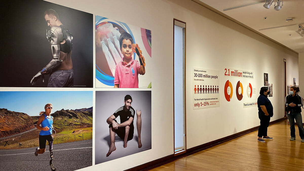 Gallery Installation showing three athletics and a young boy with prosthetics