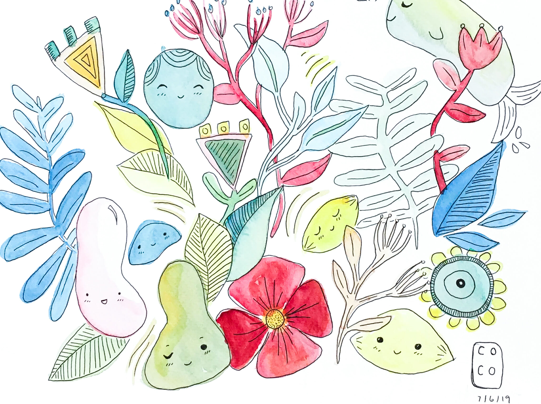 Catherine Clarke Illustration of plants